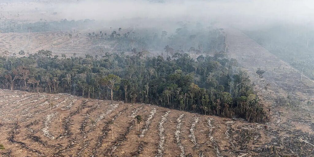 inpe-revela-que-o-amazonas-registrou-queda-de-80%-no-numero-incendios